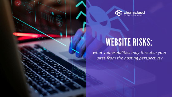 website risks