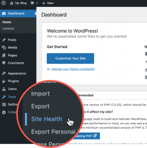 Tools > Site Health