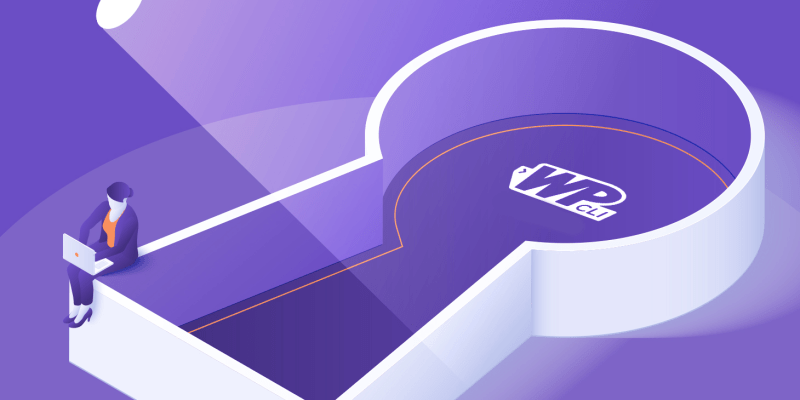 wp-cli